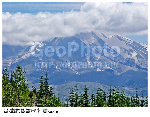 ������ ������ �����, ���, ������, ����, ���� ���������