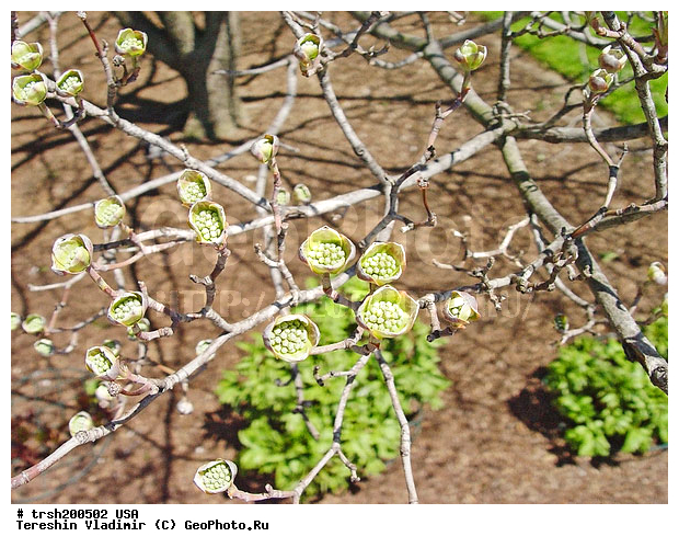 ������, ���-����, �����, ���, ������������ ���, ������ �����, �������� ������, �����