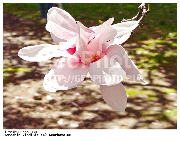 ������, ���-����, �����, ���, ������������ ���, ������ �����, �������� ������, �����