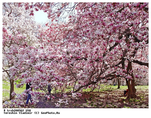 ������, ���-����, �����, ���, ������������ ���, ������ �����, �������� ������, �����