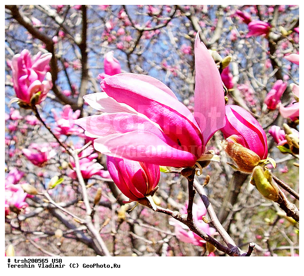 ������, ���-����, �����, ���, ������������ ���, ������ �����, �������� ������, �����