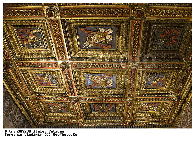 �������, ������, ���