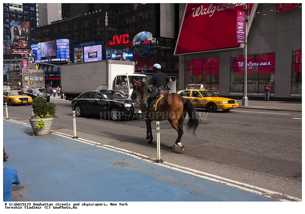 ���������, �����, ���������, ���, ���-����