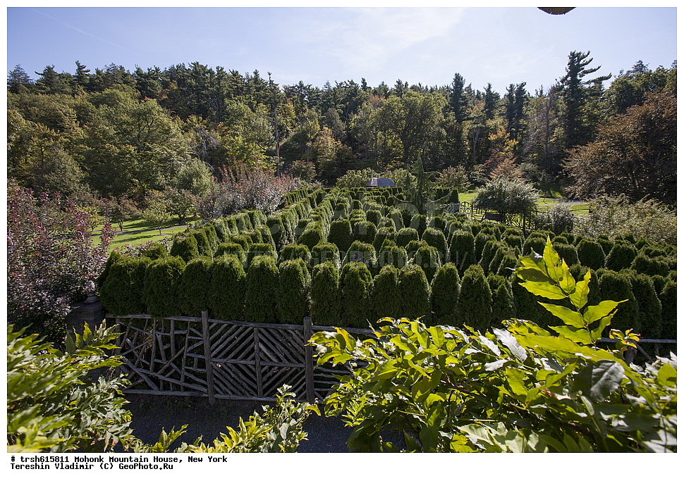 ������ ���, ������, ���, ���-����