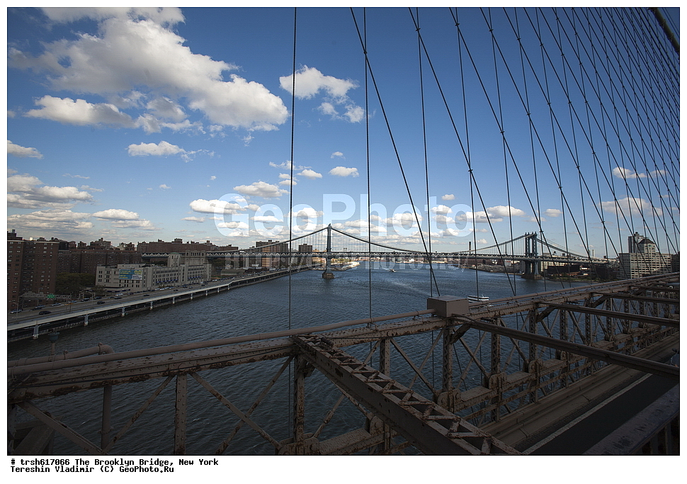 ����������� ����, ����, ������� ���, ���-����