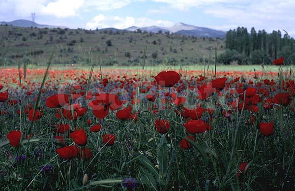 ������, ����, �����, ���, �������, ����, ���������, ����, �����, �����