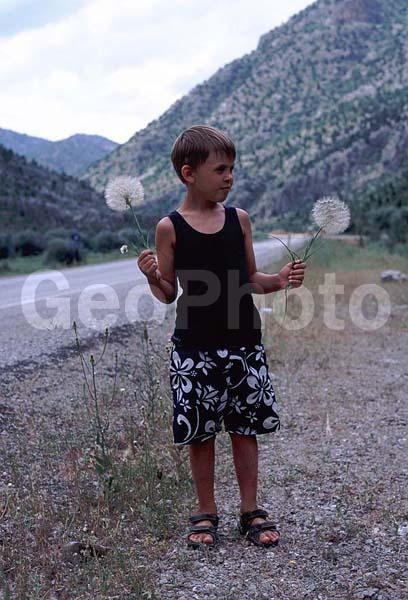 ����, ������, �������, ���������, ���������, ����, �������, �����