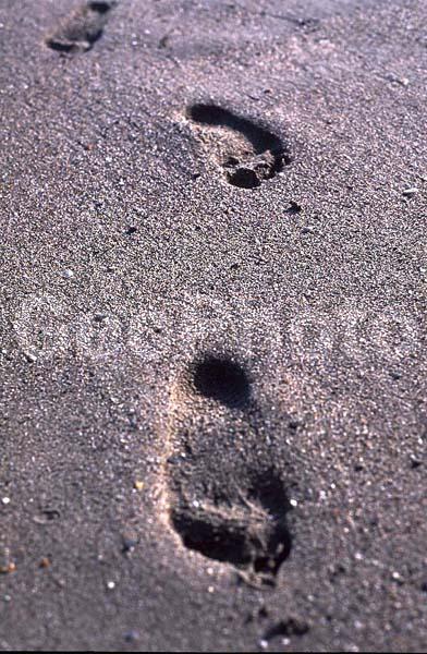 ���������, �����, �����