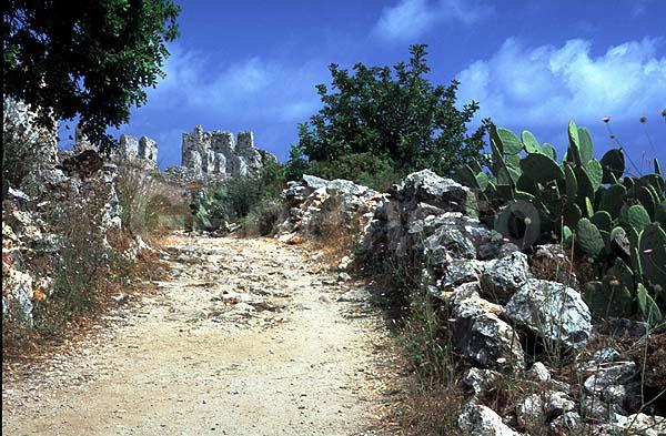 ����������, ������, �����, ��������, ������, ����, ����, ������, �����