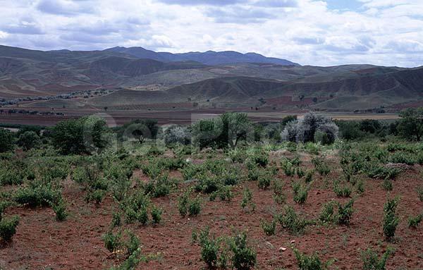 ����, ������, ������, �����������, �������, �����, �����, ����������� ������