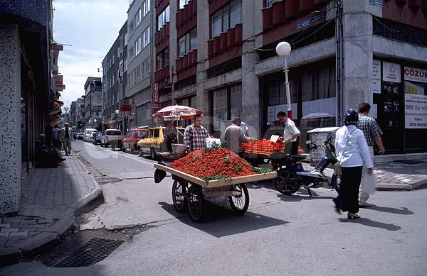 ��������� �������, �����, ��������, ��������, �����������, ���������, ��������, ������, ������� ��������, ������