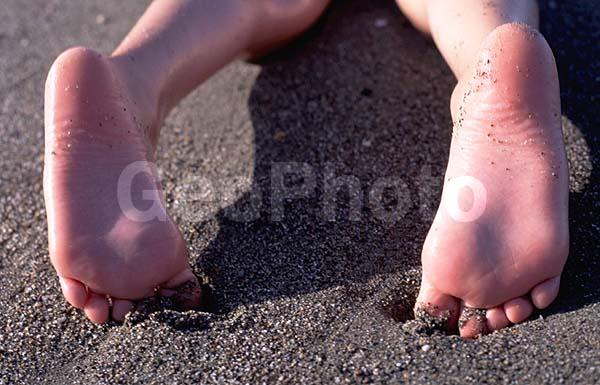 ����, �����, �������, ������, ����, �������, ����, �����, ����� �� ����, �����, �����, �����, �����������, �������, ������