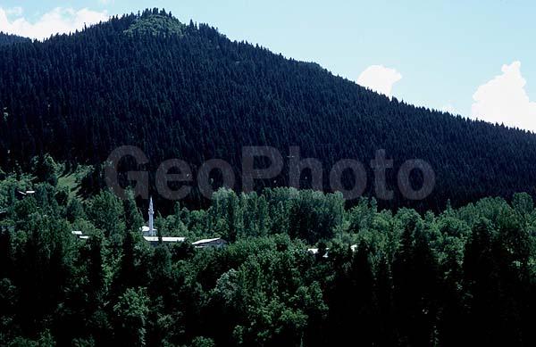 ����, �������, ���, ����, ������, �������������