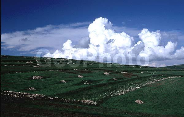 �����, ������ �������, ����, ������, ����, ����, ������, ����