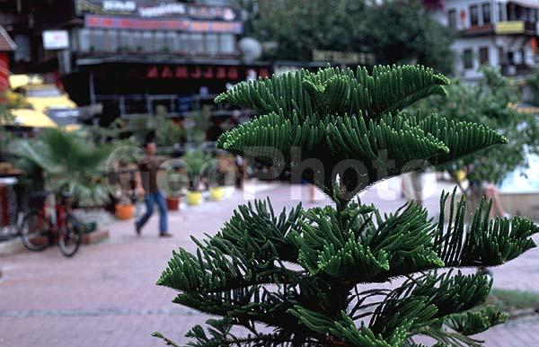 ������� ���, �����, �����, ������, �������, ��������