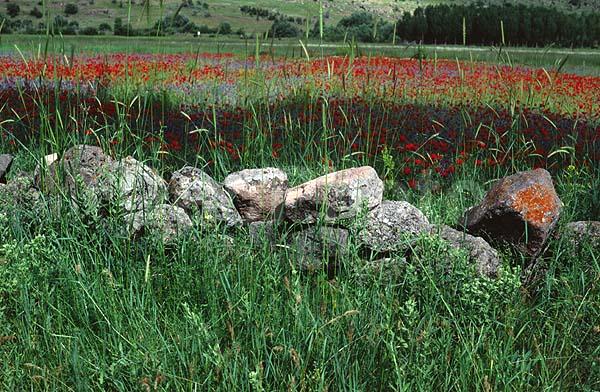 ������, ����, �������� ������, �����, ������, ���, �������, ����, �����������, �����