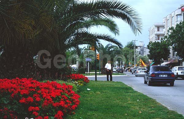 ������, �����, �����, ����� � ������, ������, �����