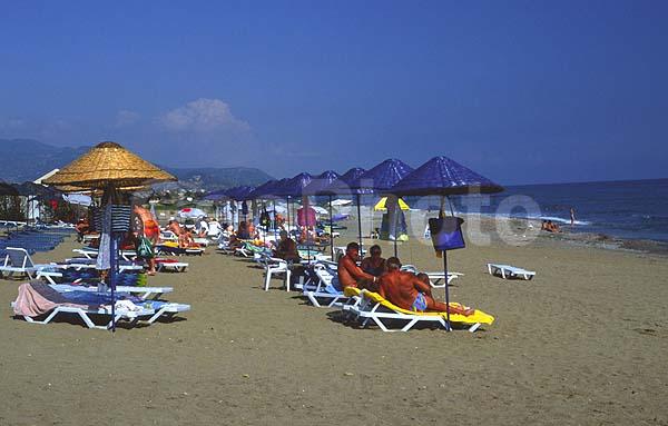 ������ �����������, �����, ������, ����, ����, �����, ����������, ����� �� ����, ������, ����, ������