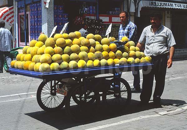 �����, ����, ��������, �������, ������, ��������, �����, ������� �����, ������� ��������