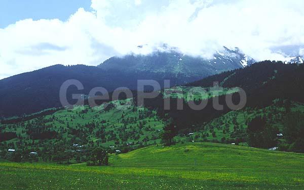 ����, ������, ������, �������