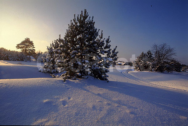 ����, ������, �����, ���������� ������, ������, ����, �������, �����