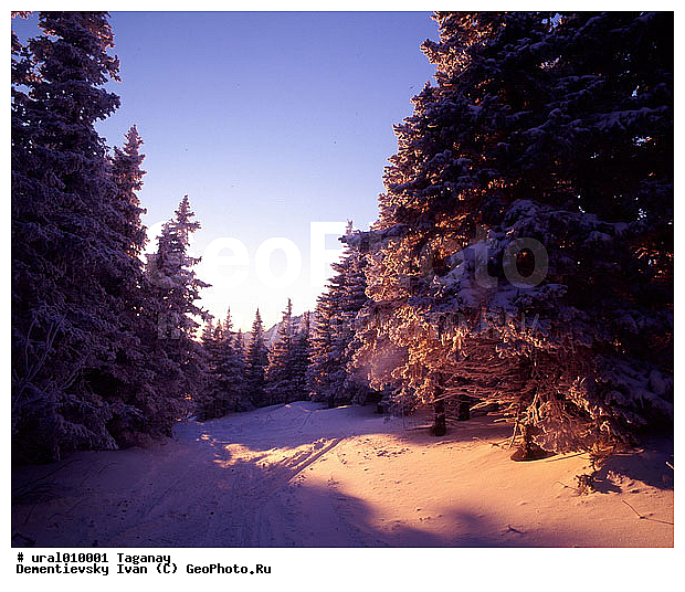 ����, ����, ������������ ���������� �������, �������, ����, ����� ����, ����������� �������, ������ �������, ������ ������, �������������� ������, ���������, ��������� ������, ������