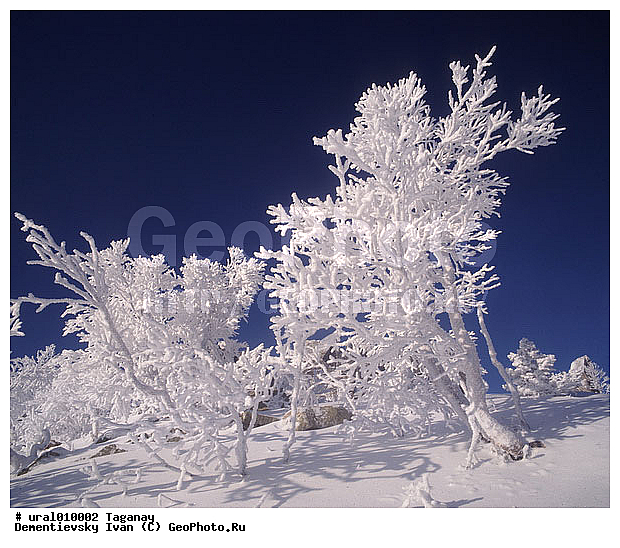 ����, ����, ������������ ���������� �������, �������, ����, ����� ����, ����, �����, ����������� �������, ������ �������, ������ ������, �������������� ������, ���������, ��������� ������, ������