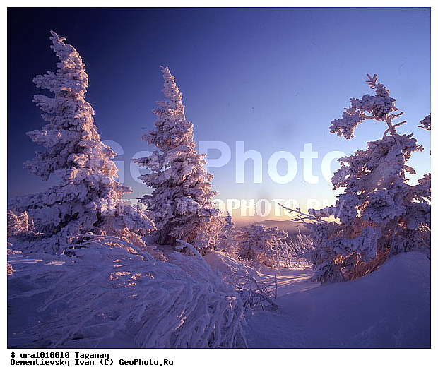 ����, ����, ������������ ���������� �������, �������, ����, ����� ����, ����� �� ������� ������� �������, ����������� �������, ������ �������, ������ ������, �������������� ������, ���������, ��������� ������, ������