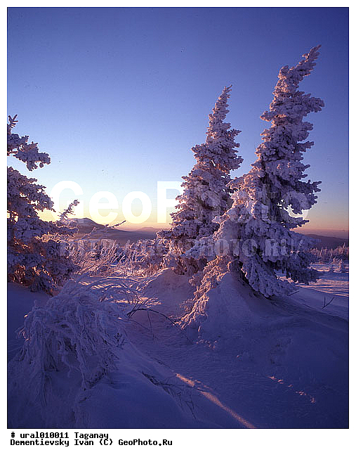 ����, ����, ������������ ���������� �������, �������, ����, ����� ����, ����������� �������, ������ �������, ������ ������, �������������� ������, ���������, ��������� ������, ������