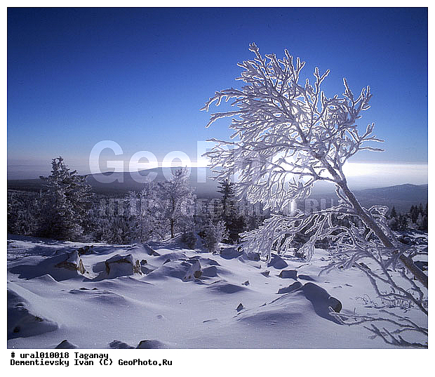 ����, ����, ������������ ���������� �������, �������, ����, ����� ����, ����������� �������, ������ �������, ������ ������, �������������� ������, ���������, ��������� ������, ������