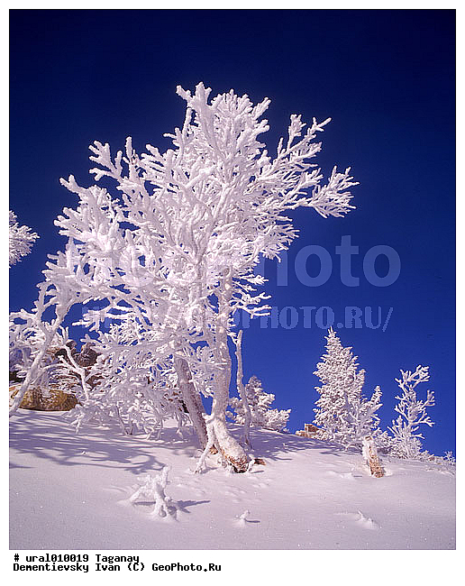 ����, ����, ������������ ���������� �������, �������, ����, ����� ����, ����������� �������, ����������� �������, ������ �������, ������ ������, �������, �������������� ������, ���������, ��������� ������, ������