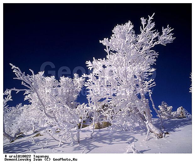 ����, ����, ������������ ���������� �������, �������, ����, ����� ����, ����������� �������, ������ �������, ������ ������, �������������� ������, ���������, ��������� ������, ������