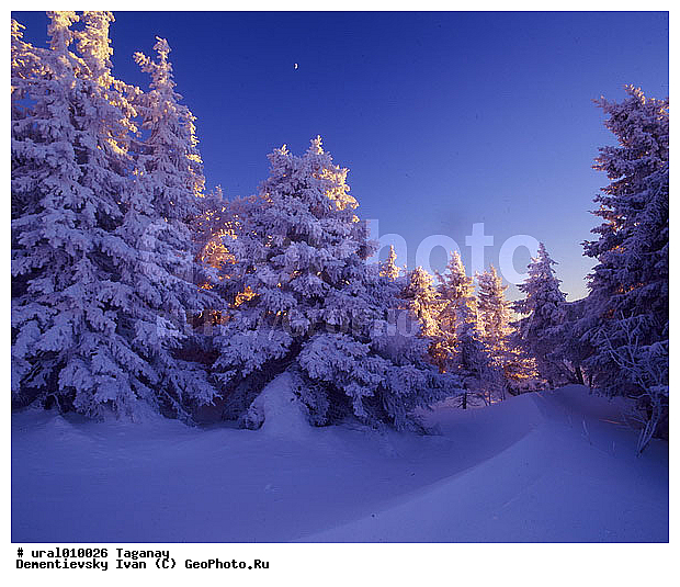 ����, ����, ������������ ���������� �������, �������, ����, ����� ����, ����������� �������, ������ �������, ������ ������, �������������� ����, �������������� ������, ���������, ��������� ������, ������