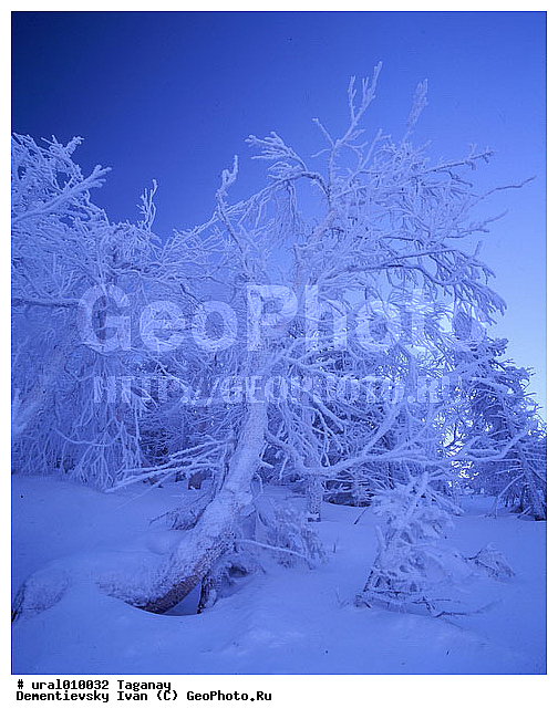 ����. �������. ����� ����. ����������� �������. ������ ������. ������ �������, ����, �������, ����