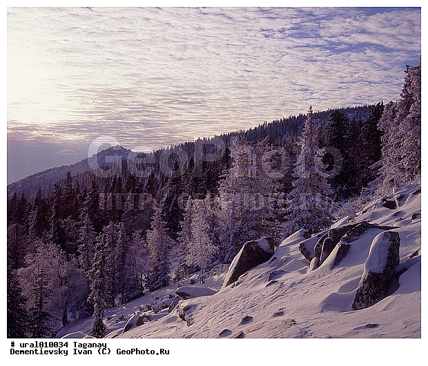 ����. �������. �������. ����� ����. ��������� ������. ��� �� ������, ����, �������, ����