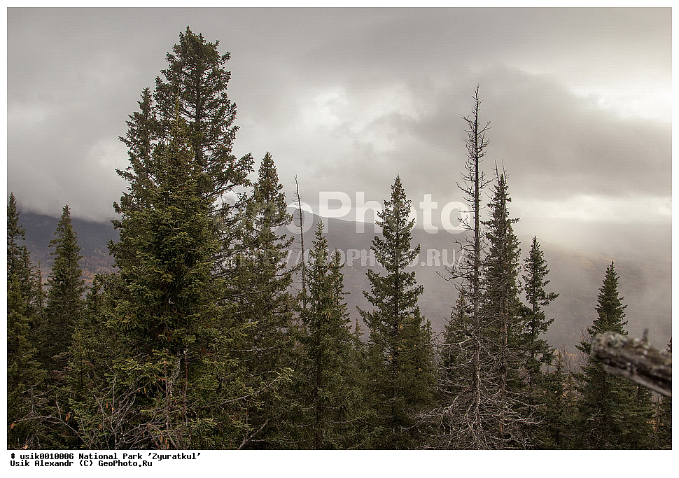 ������������ ����, ����, ���������, ������ �����, ����, �������, �����, ���, ������� ���������, ������, �����, �����, ������, �������