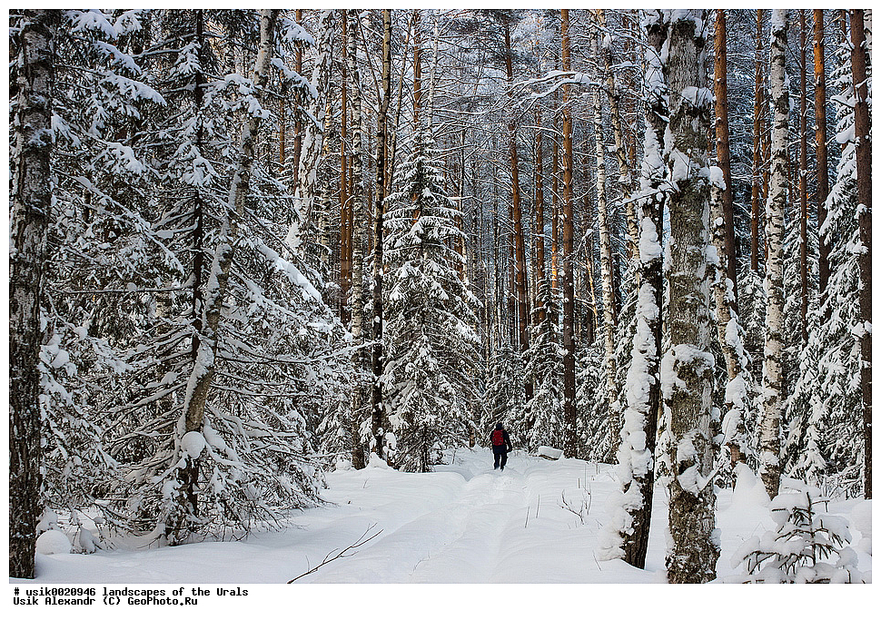 ������, ����