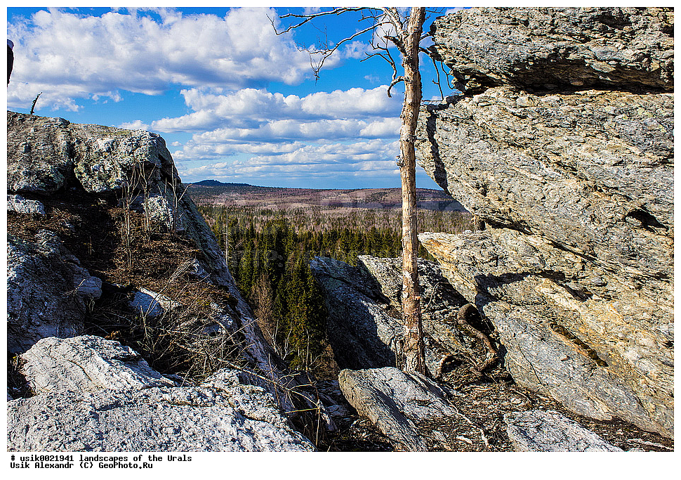 ������, ����