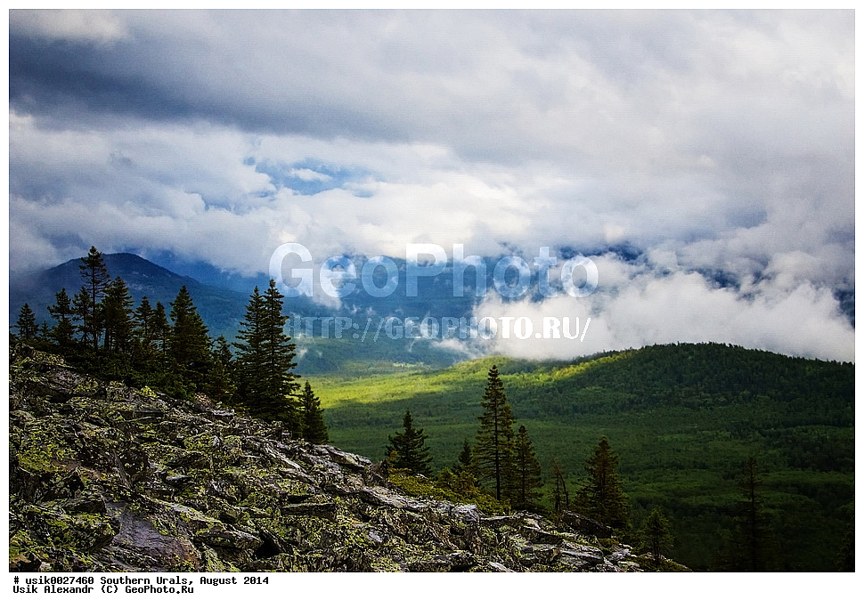 ����, ����� ����, ������, ����