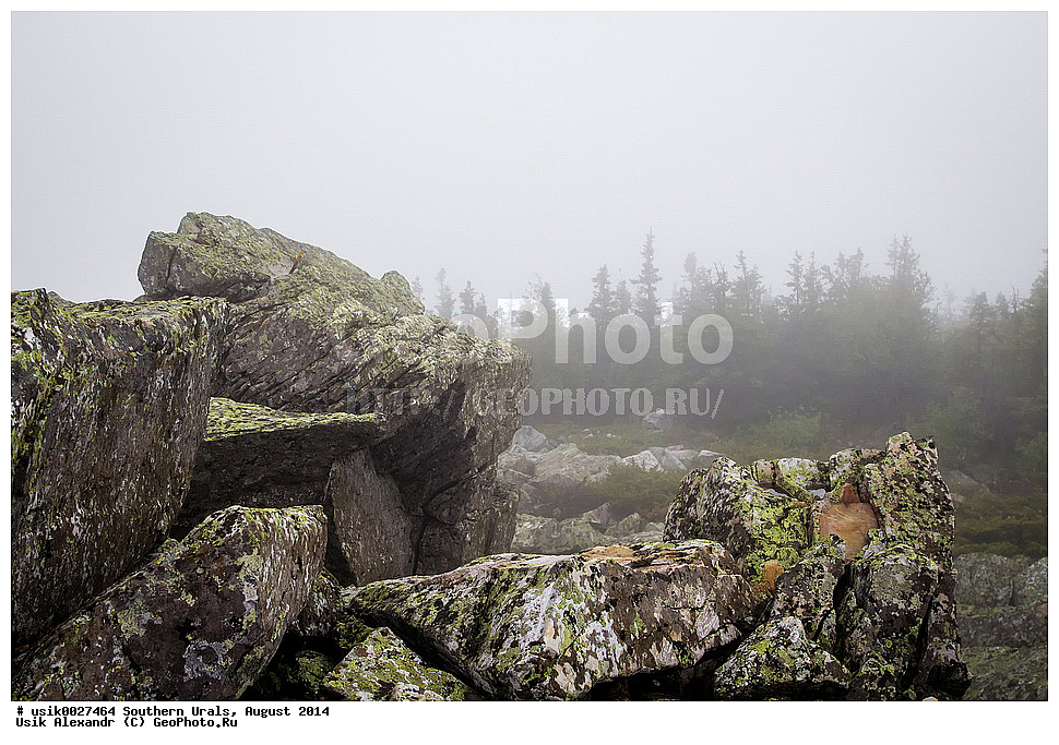 ����, ����� ����, ������, ����