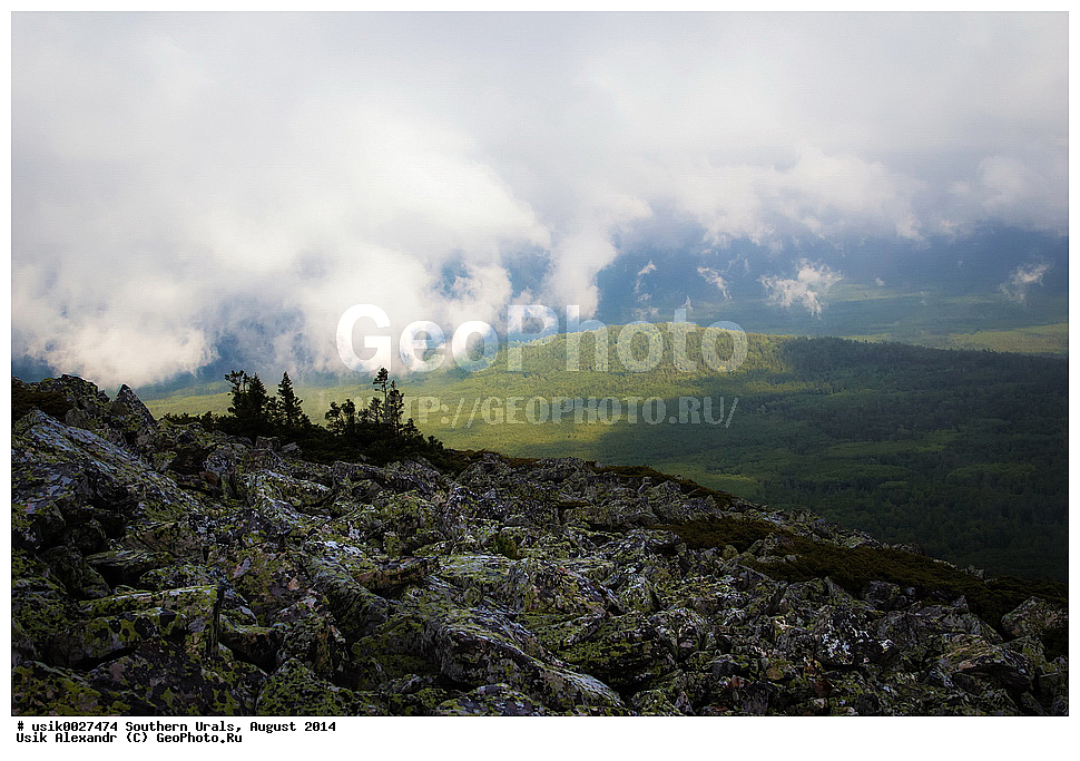 ����, ����� ����, ������, ����