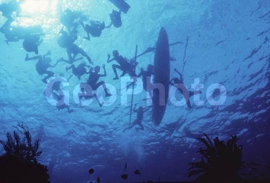 �������, ������, ����������� ����