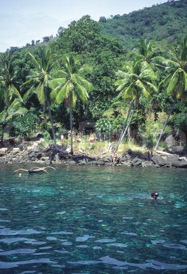 �������, ������, ����������� ����