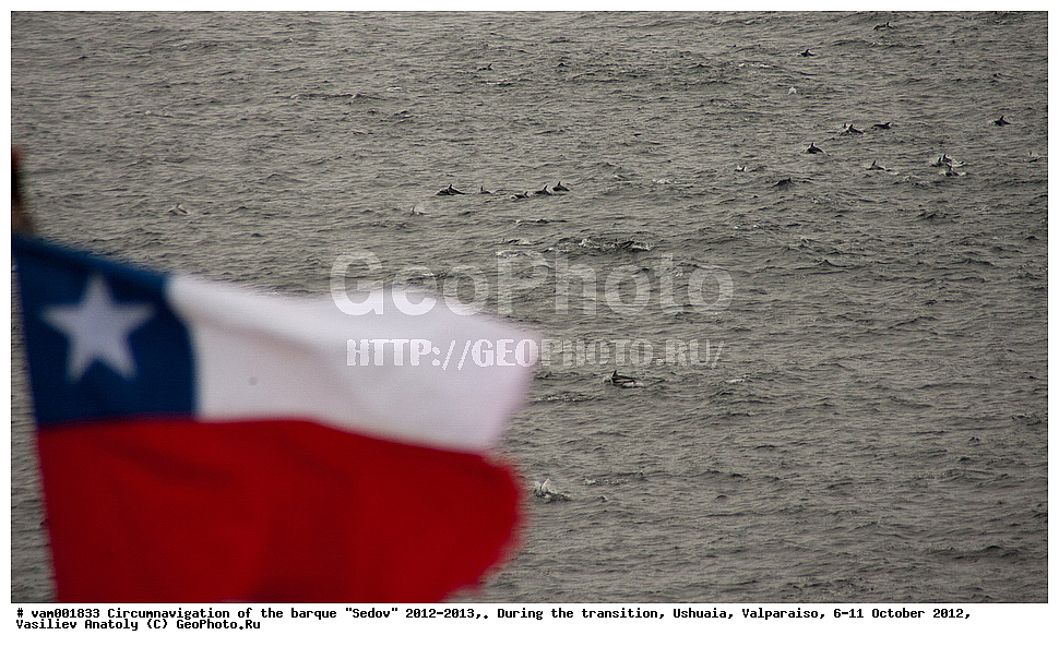  ����� �����, ����, ����, ������� ����, �������, ������, ����� �������, �����, ������� ���������, �����, ���������, �����, ����� ���������, �����������, ������������ ��������, ���� �����, ��������