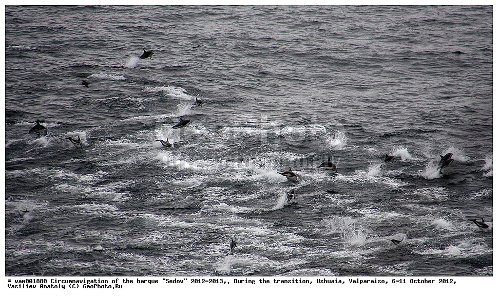  ����� �����, ����, ����, ������� ����, �������, ������, ����� �������, �����, ������� ���������, �����, ���������, �����, ����� ���������, �����������, ������������ ��������, ���� �����, ��������