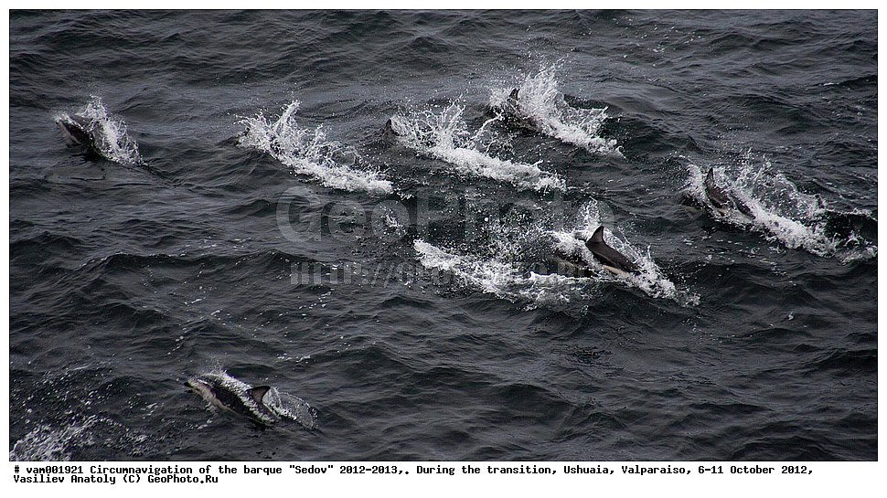  ����� �����, ����, ����, ������� ����, �������, ������, ����� �������, �����, ������� ���������, �����, ���������, �����, ����� ���������, �����������, ������������ ��������, ���� �����, ��������