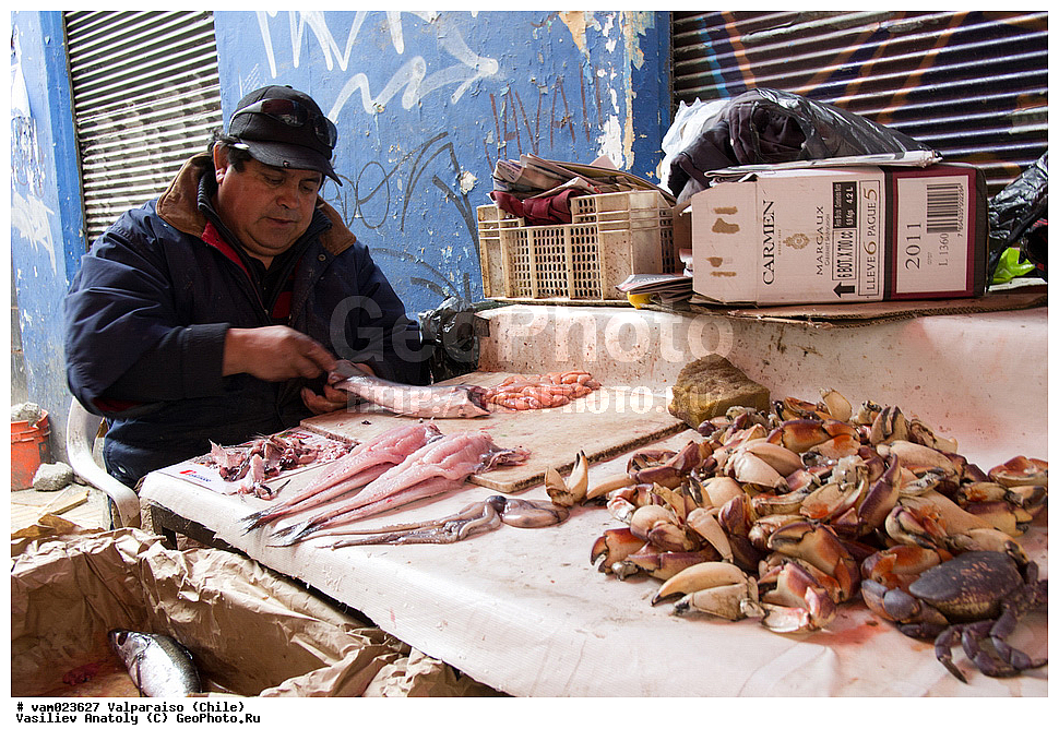 �����������, ����, ����� �������, �������