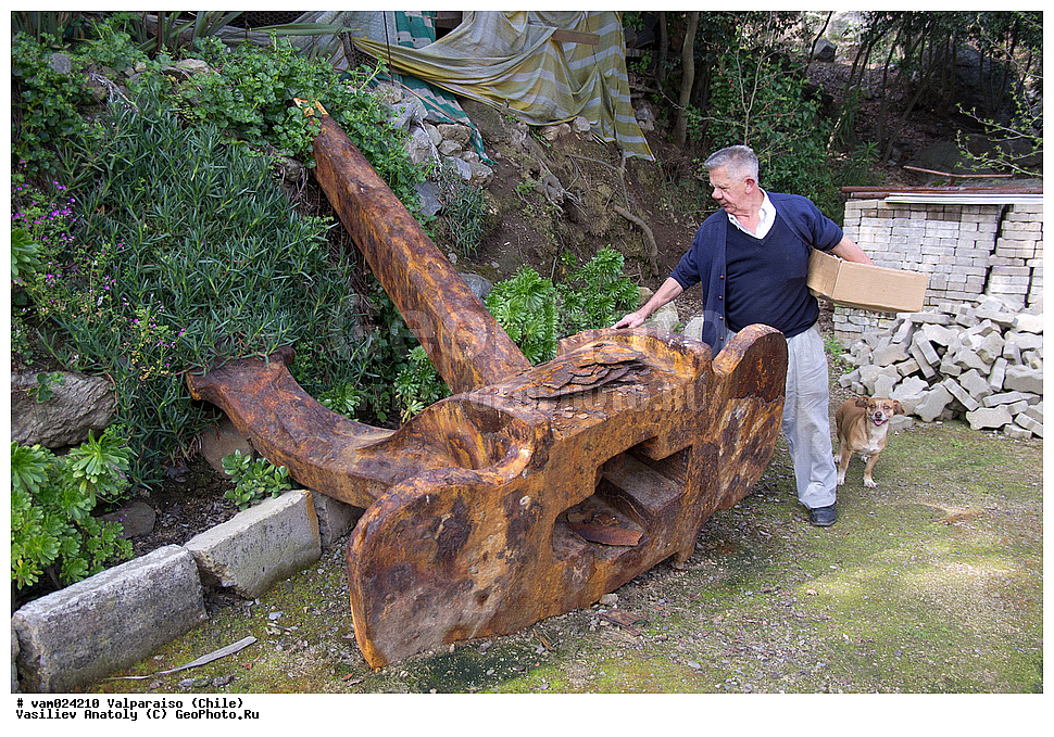 �����������, ����, ����� �������, �������