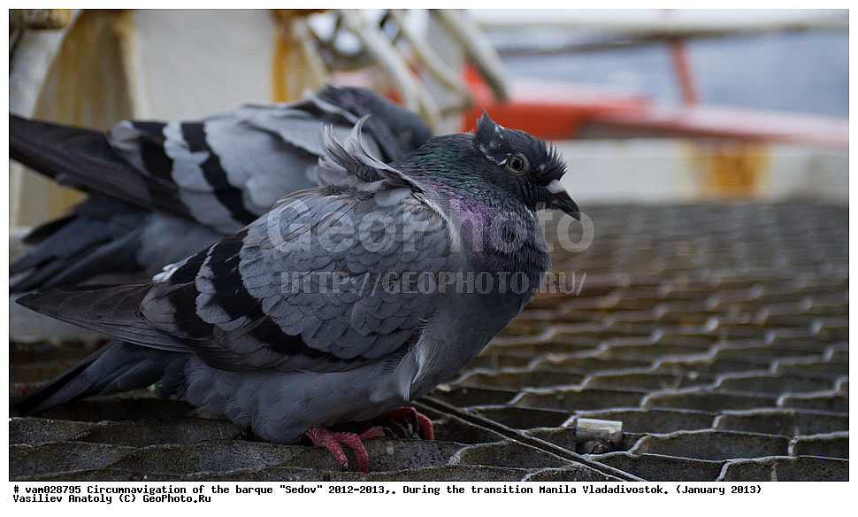 ����� �����, ����, ������� ����,  ������, �����, ���������, �����, �����������, ������������ ��������, ���� �����, ��������,  ������-�������������, ������ 2013, �����, ��������� ����, �������� ����