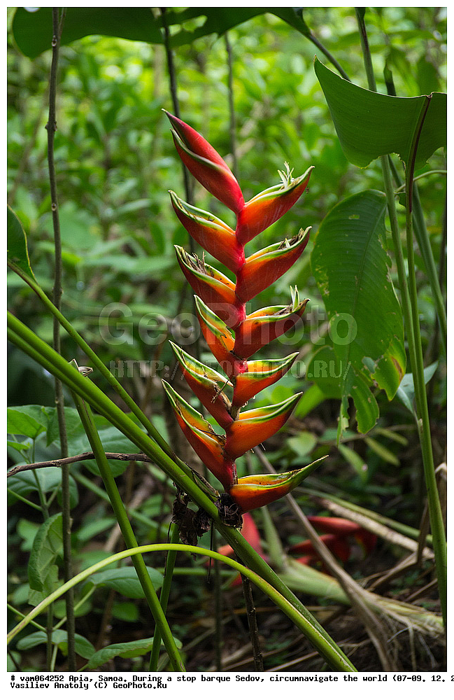 �������, ����� �����, ���������, ����, ������� � ������, ���������, �����, ���� �����, ������������ ��������